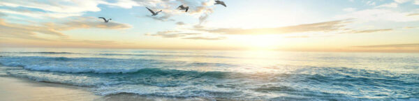 Wohnen am Meer