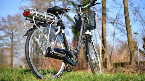 E-Bikes sind auf deutschen Straßen immer häufiger anzutreffen.